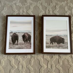 Target Brown Framed Bison Photography Set